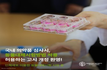 휴메인 소사이어티 인터내셔널이 국내 의약품 심사 시 동물대체시험방법을 허용하는 고시 개정을 환영하고 나섰다.